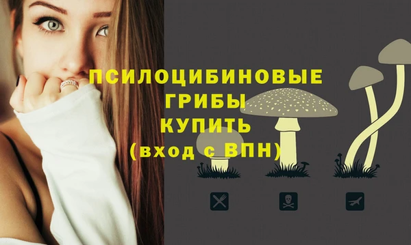 гидропоника Бородино