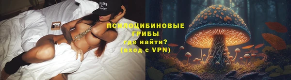 крисы Переславль-Залесский