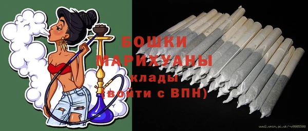гидропоника Бородино