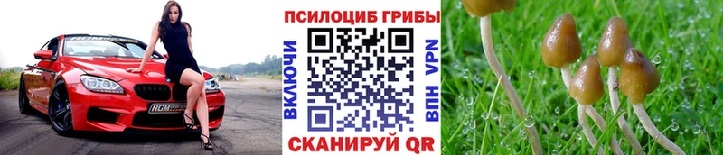 Галлюциногенные грибы мицелий Пересвет