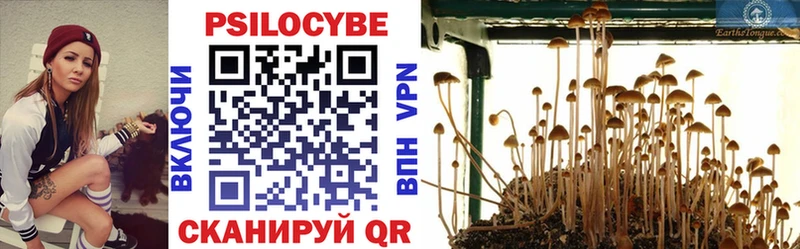 Псилоцибиновые грибы мицелий  MEGA вход  сайты даркнета формула  Пересвет 